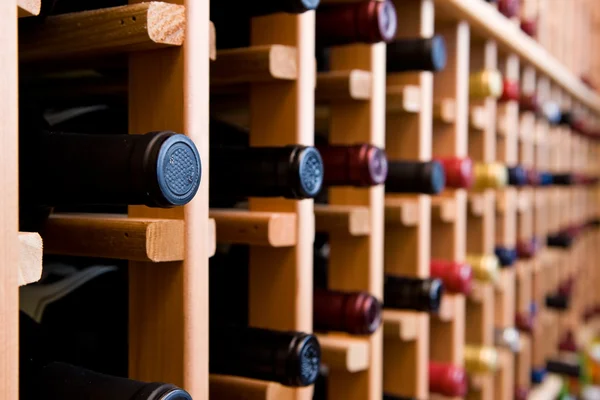 stock image Bottles of Wine In Cellar