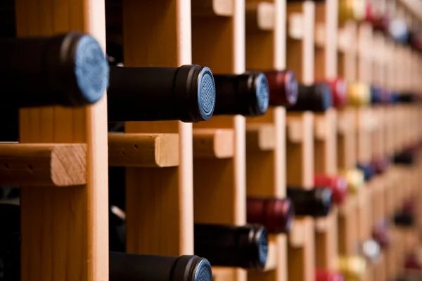 Пляшки вина в підвалі — стокове фото
