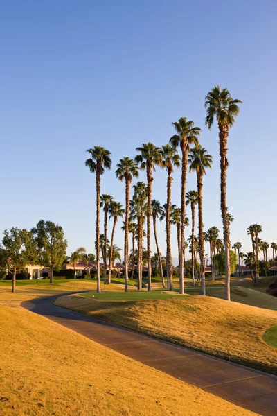 Golf Cart Path in Southern California Лицензионные Стоковые Фото