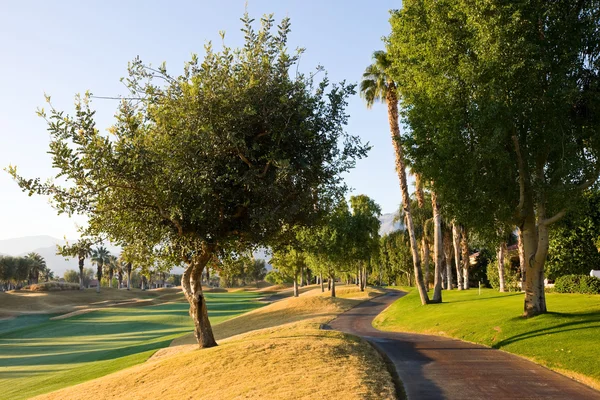 Golf Cart Path in Southern California Стоковое Изображение
