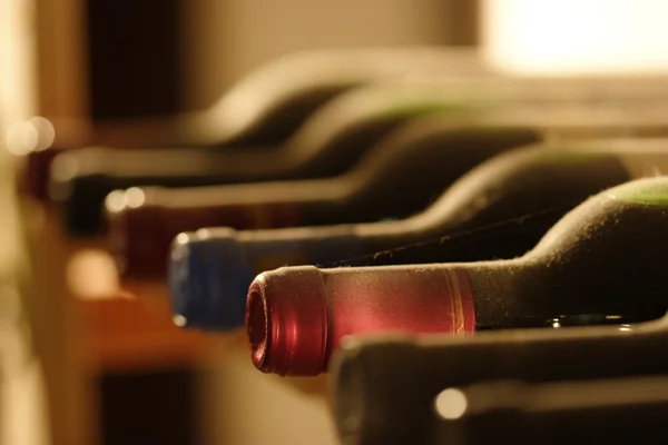 Estante de vino — Foto de Stock