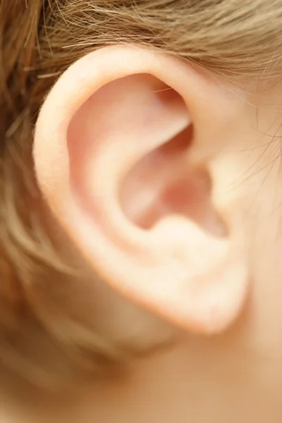 Child's ear — Stock Photo, Image