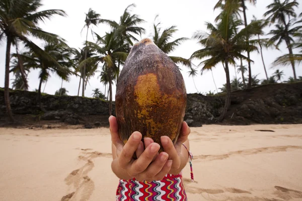 Coconut head — Stock Photo, Image