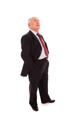 Full senior businessman clipart