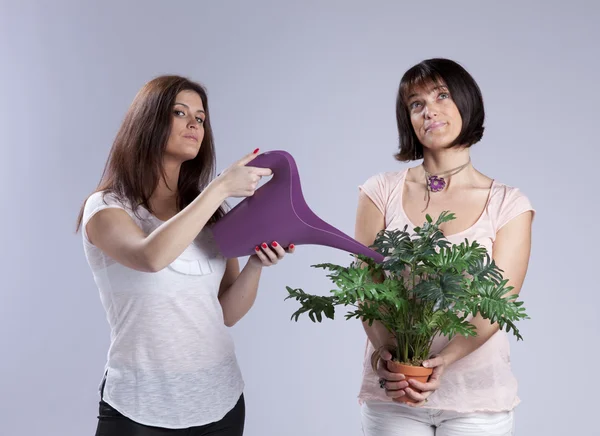 Due donne giardinaggio — Foto Stock
