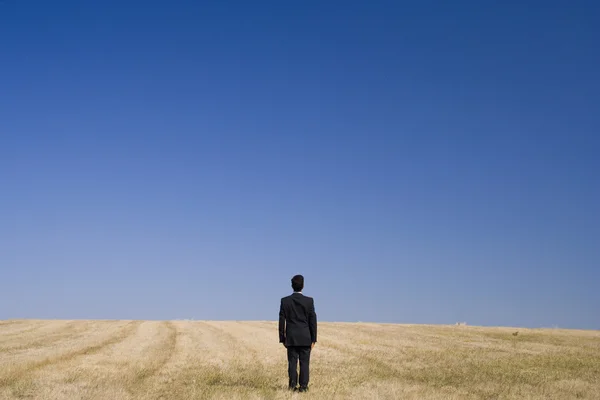 Alone in the field — Stock Photo, Image
