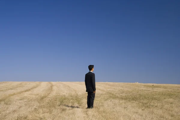 Бизнесмен, стоящий в поле — стоковое фото