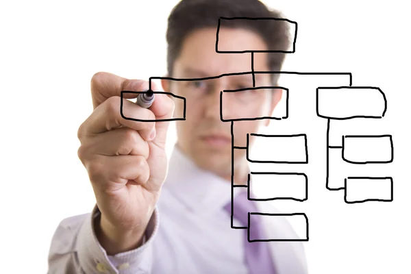 Organizační diagram — Stock fotografie