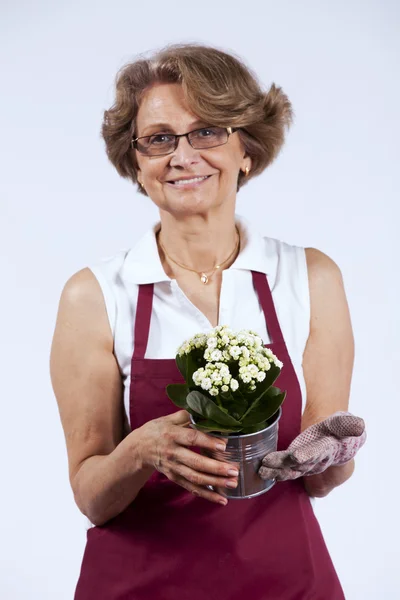 Mujer mayor plantando flores — Foto de Stock
