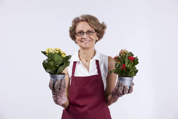Mujer mayor plantando flores — Foto de Stock