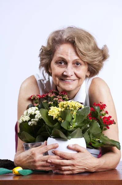Seniorin pflanzt Blumen — Stockfoto