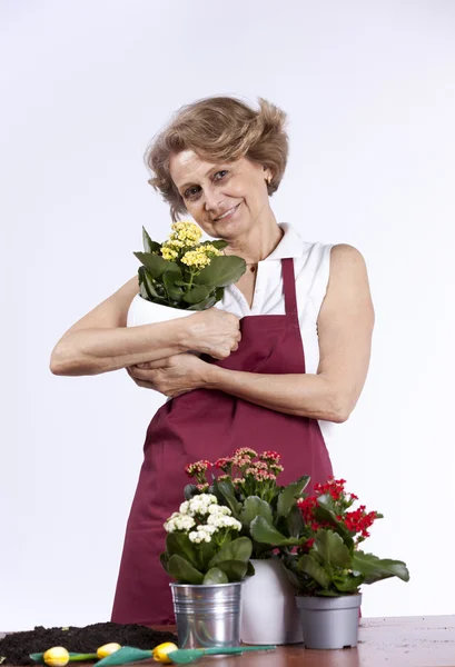 Seniorin pflanzt Blumen — Stockfoto