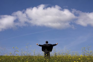 Businessman outstretched on a field clipart