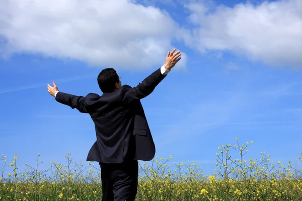 Businessman outstretched on a field — Stock Photo, Image