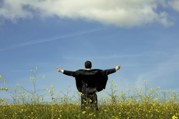 Businessman outstretched on a field — Stock Photo, Image