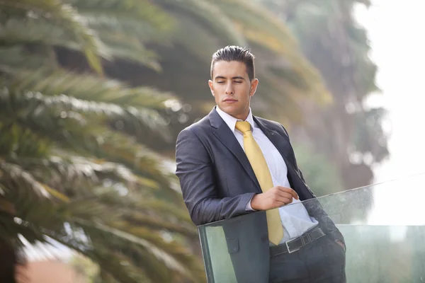 Modern businessman at the office balcony — Stock Photo, Image