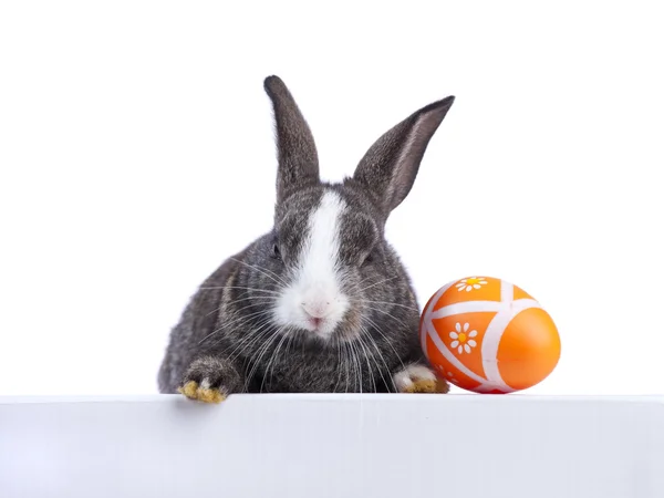 Pasen konijn houden een banner — Stockfoto