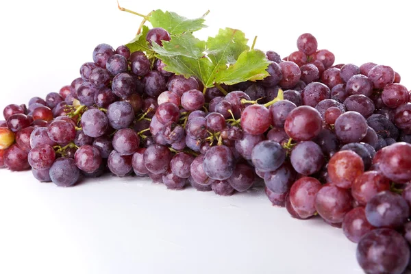 Tak van druiven — Stockfoto