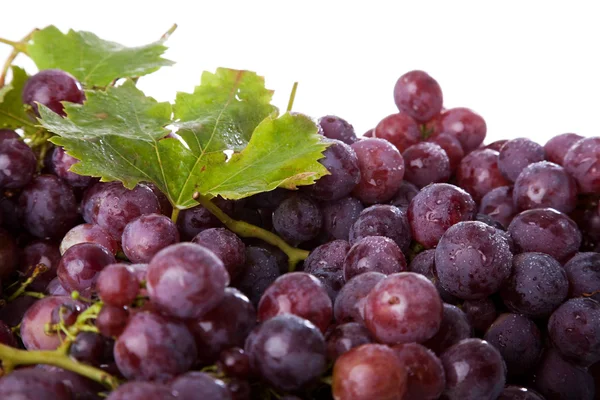 Ramo de uvas — Fotografia de Stock