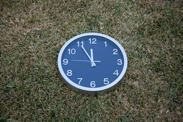 풀밭에서 벽 시계 — 스톡 사진