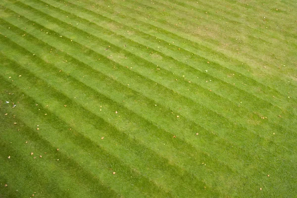 Grass stripes — Stock Photo, Image