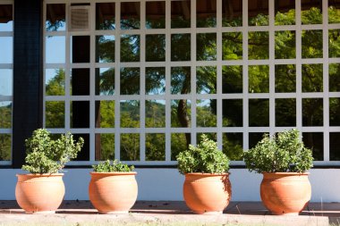 Vases at the balcony clipart