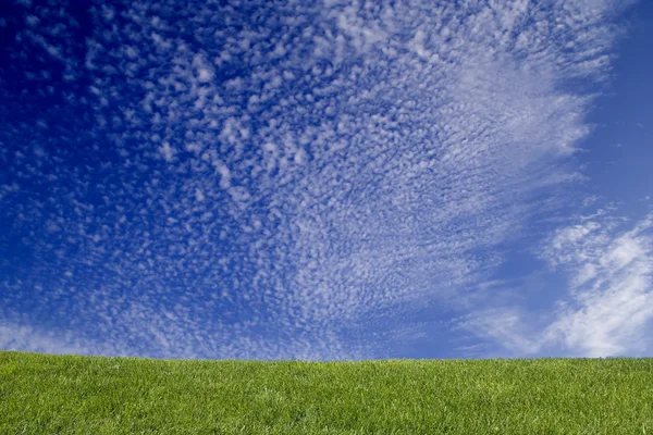 Tráva a modrá obloha — Stock fotografie