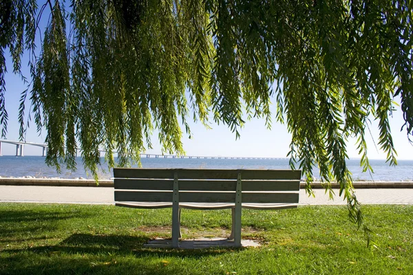 Bench next to the river — Stock Photo, Image