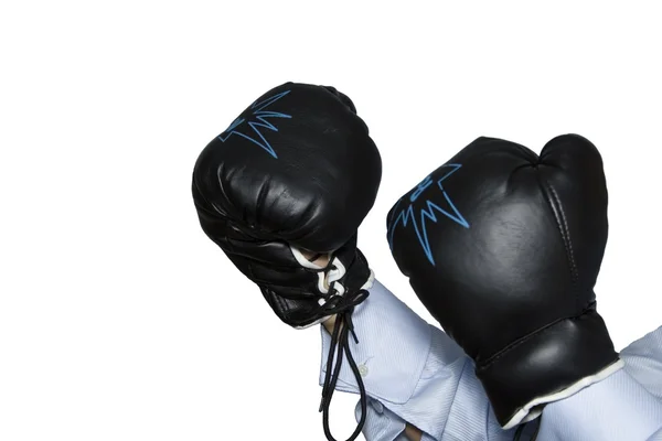 Boxer gloves — Stock Photo, Image