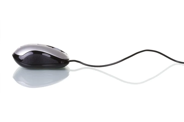 Urządzenie mysz na białym tle z odbiciem — Zdjęcie stockowe