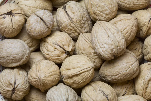 stock image Walnuts pattern