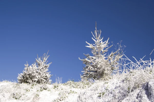 Schnee zu Weihnachten — Stockfoto