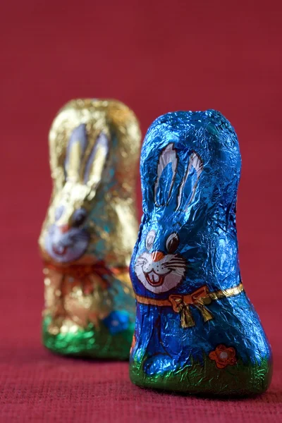 stock image Easter bunnys