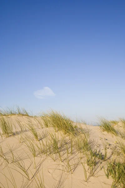 해변의 모래 언덕 — 스톡 사진