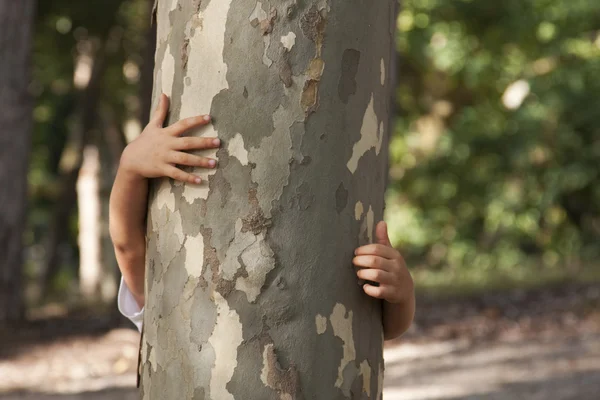 Natura amorevole — Foto Stock