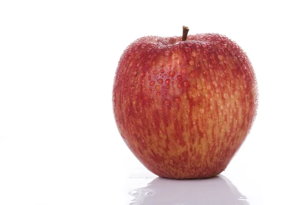 Свіжий червоний apple — стокове фото