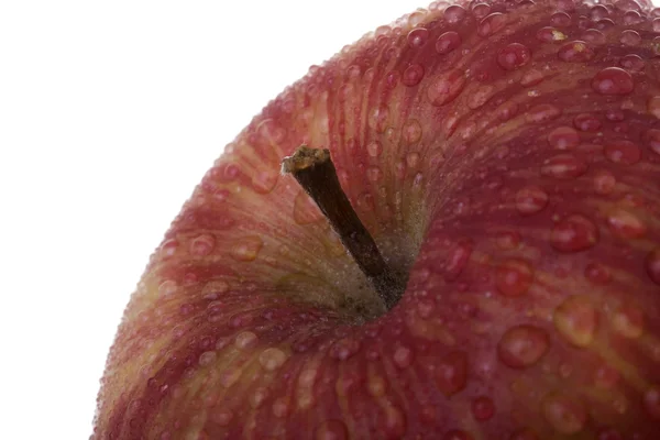 Apple detail — Stock fotografie