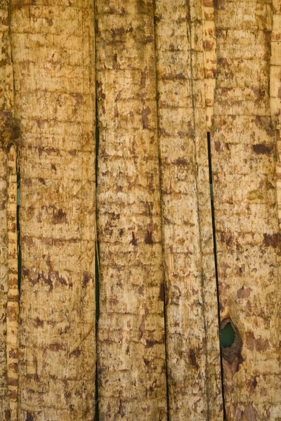 Baumwandmuster 2 — Stockfoto