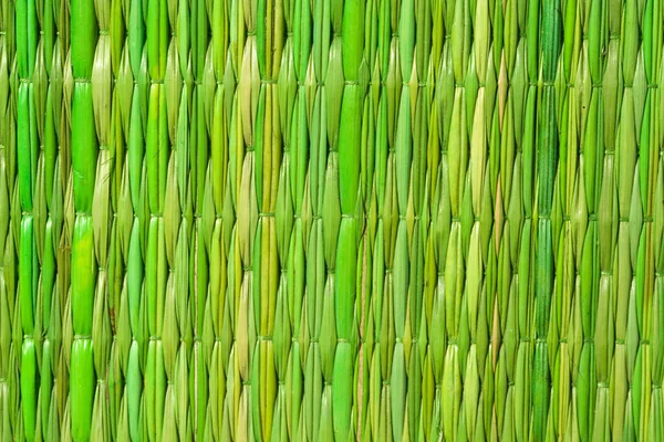 Detalhe de bambu — Fotografia de Stock
