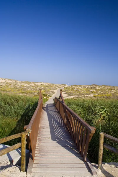 The path to the beach — Stock Photo, Image