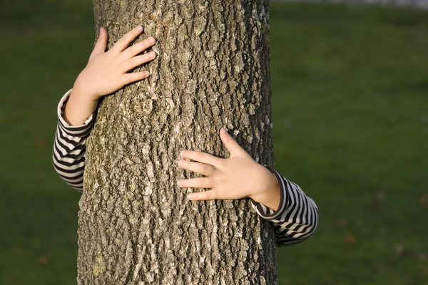 Huging a tree — Stock Photo, Image