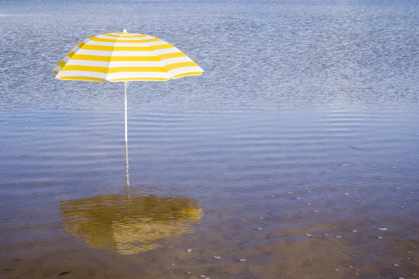 黄色い傘 — ストック写真