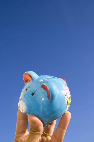 Dinero Cerdo en el cielo —  Fotos de Stock