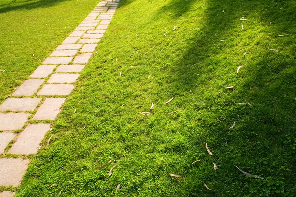Path in the grass — Stock Photo, Image