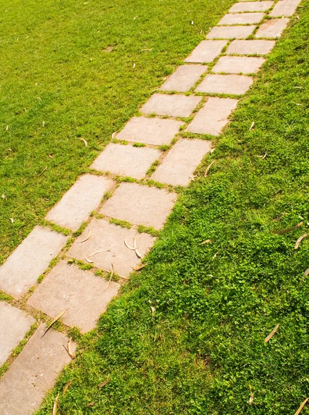 Caminho na grama — Fotografia de Stock