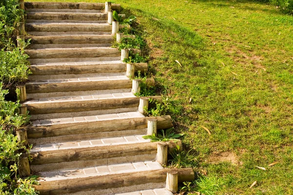 Escadas na grama — Fotografia de Stock