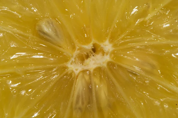 Lemon Sun — Stock Photo, Image