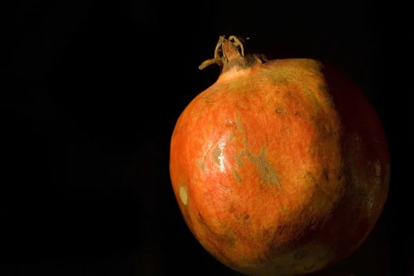 Rompiente negro — Foto de Stock