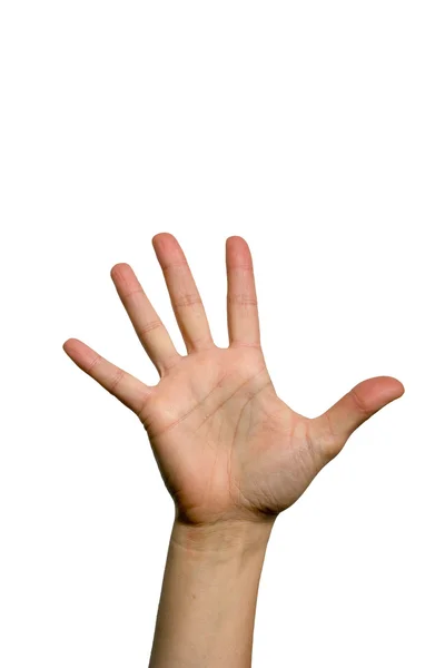 Offene Handfläche — Stockfoto