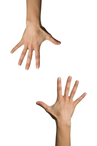 Zwei Hände — Stockfoto